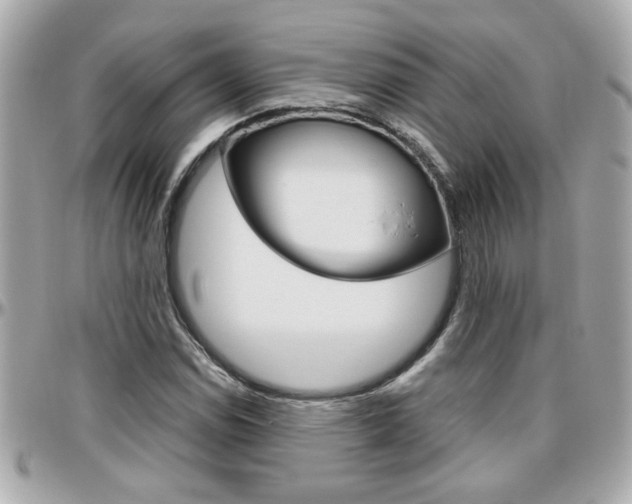 X0000096441114200801241111