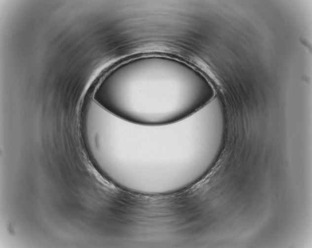 X0000096441116200801241111