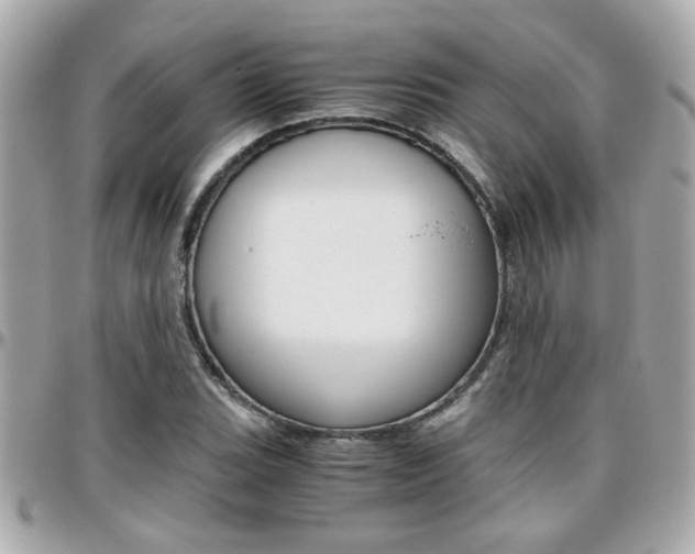 X0000096441119200801241111