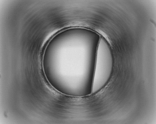 X0000096441120200801241111