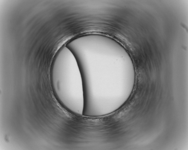 X0000096441121200801241112