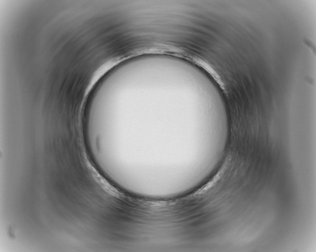 X0000096441122200801241112