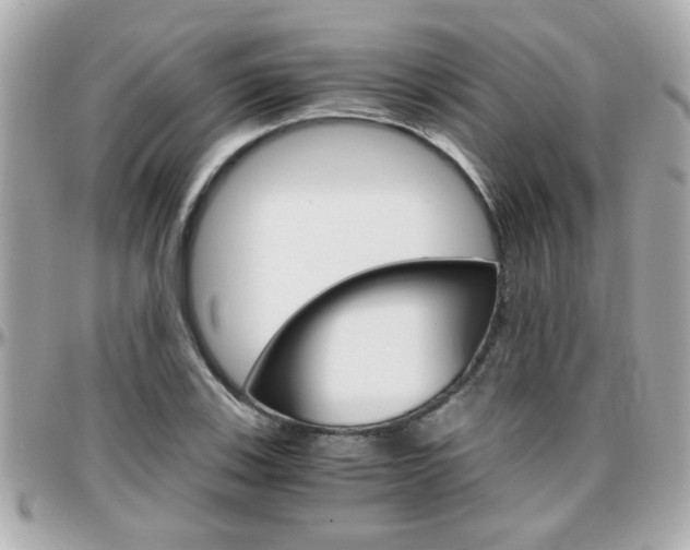 X0000096441123200801241112