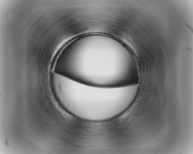 X0000096441124200801241112