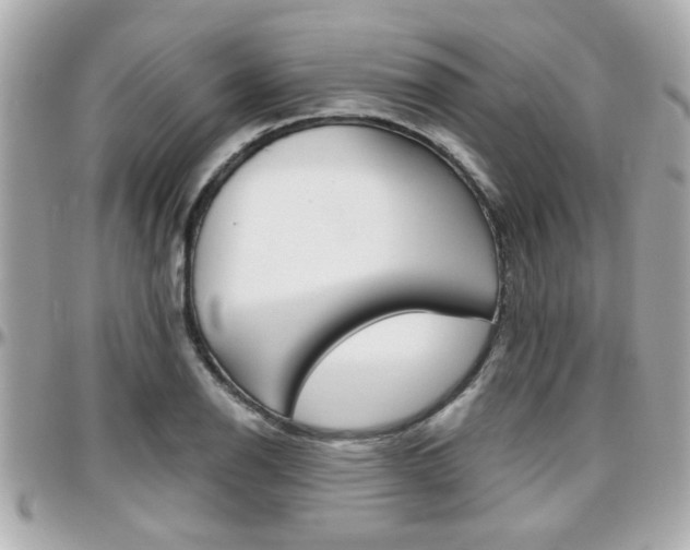 X0000096441126200801241112