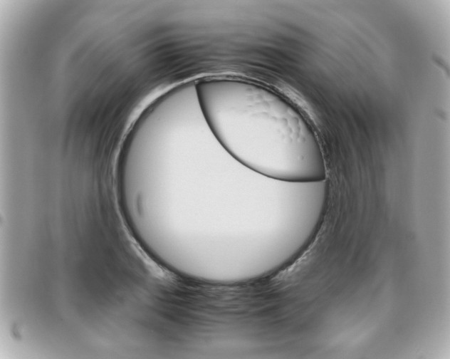 X0000096441127200801241112