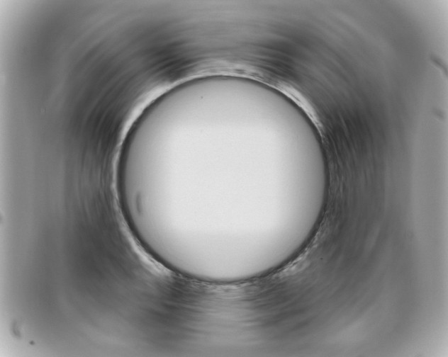 X0000096441128200801241112