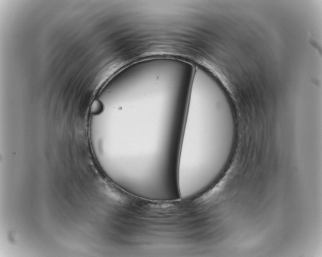 X0000096441129200801241112