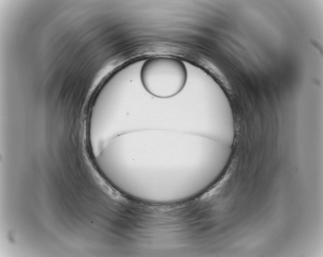 X0000096441130200801241112
