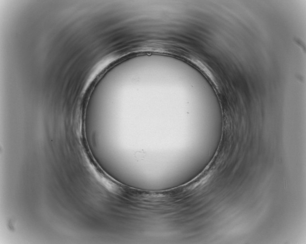 X0000096441131200801241112
