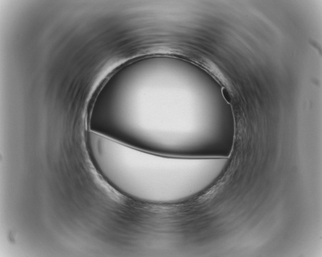 X0000096441132200801241112