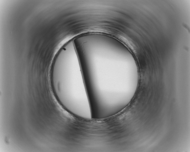 X0000096441133200801241112