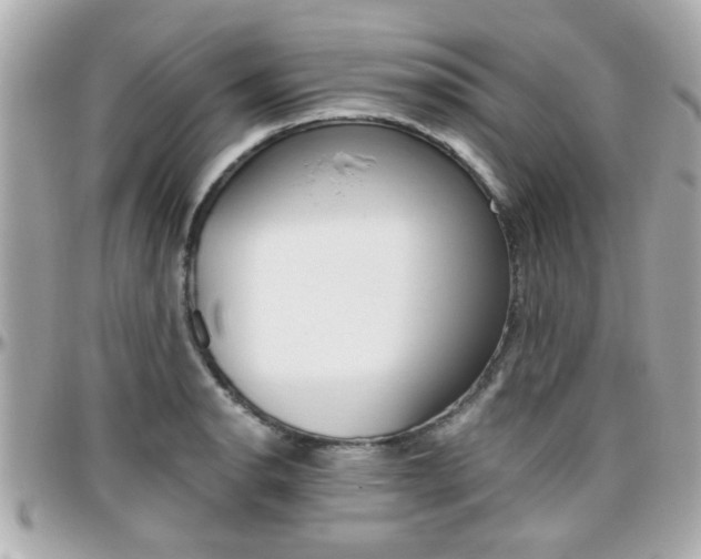 X0000096441134200801241112