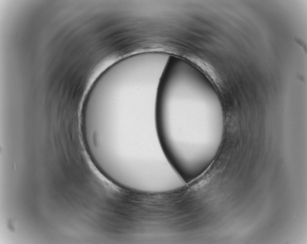 X0000096441135200801241112
