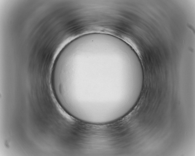 X0000096441136200801241112