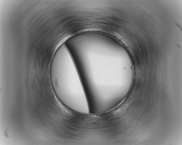 X0000096441137200801241112