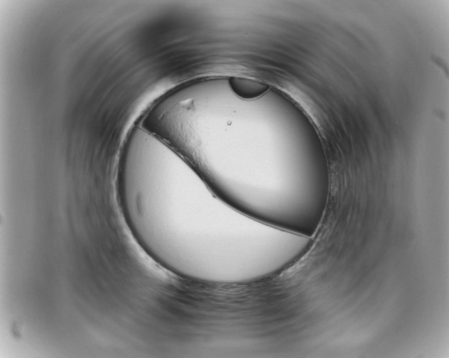 X0000096441139200801241112