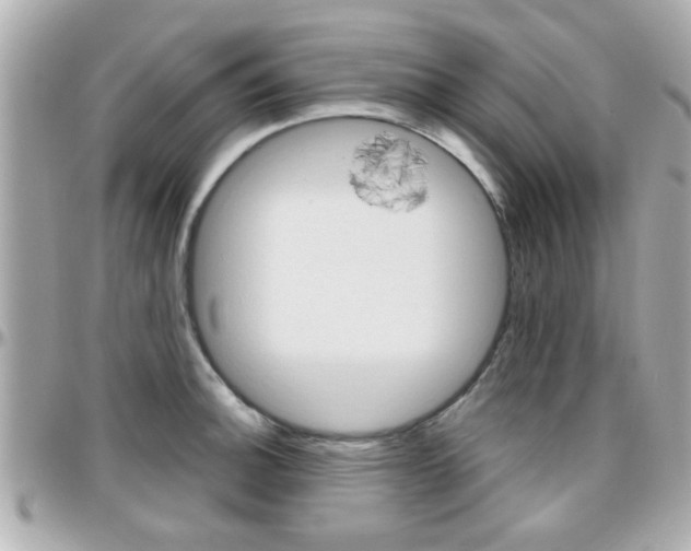 X0000096441140200801241112