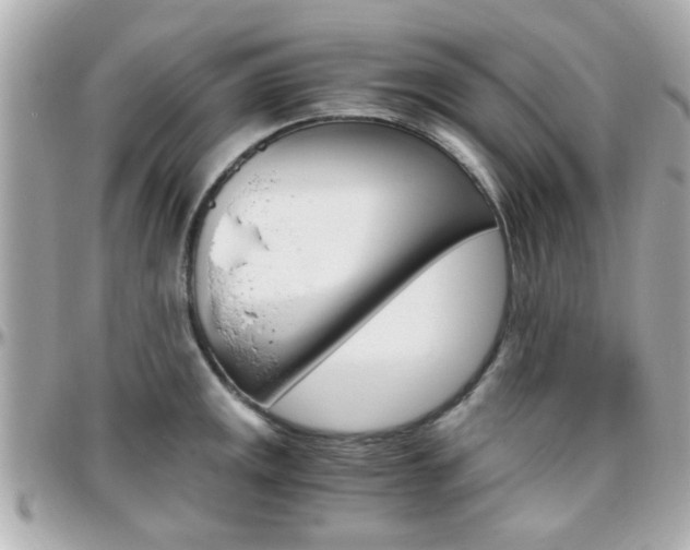 X0000096441141200801241112