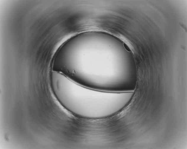 X0000096441142200801241112