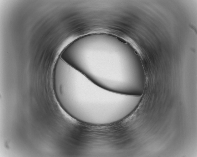 X0000096441143200801241112