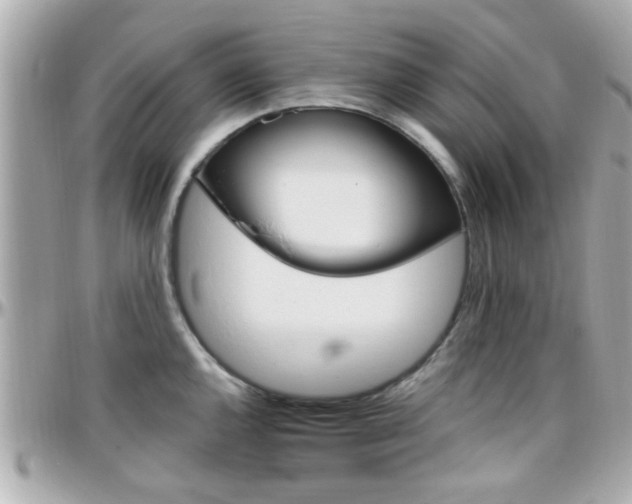 X0000096441144200801241112
