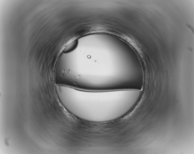 X0000096441145200801241112
