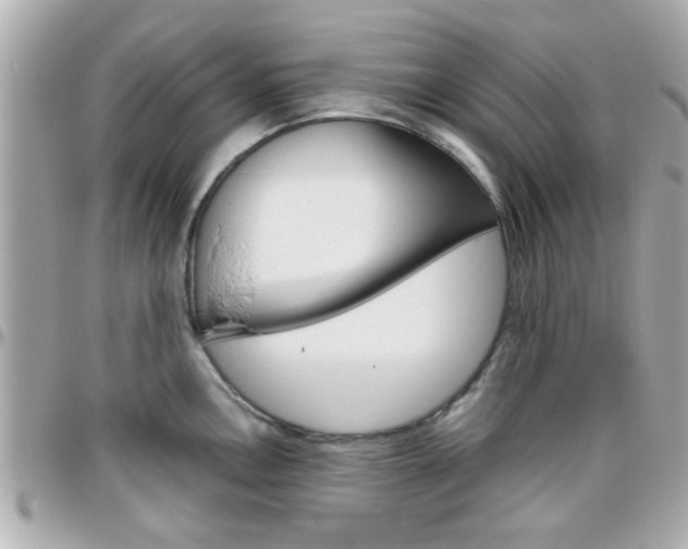 X0000096441146200801241112