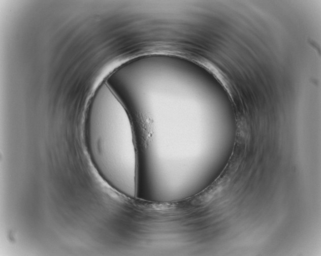 X0000096441147200801241112