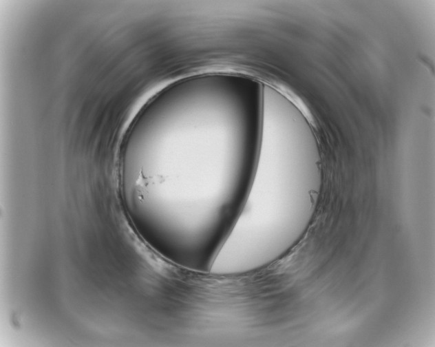 X0000096441148200801241112