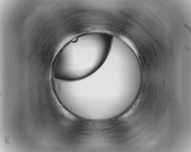 X0000096441149200801241112