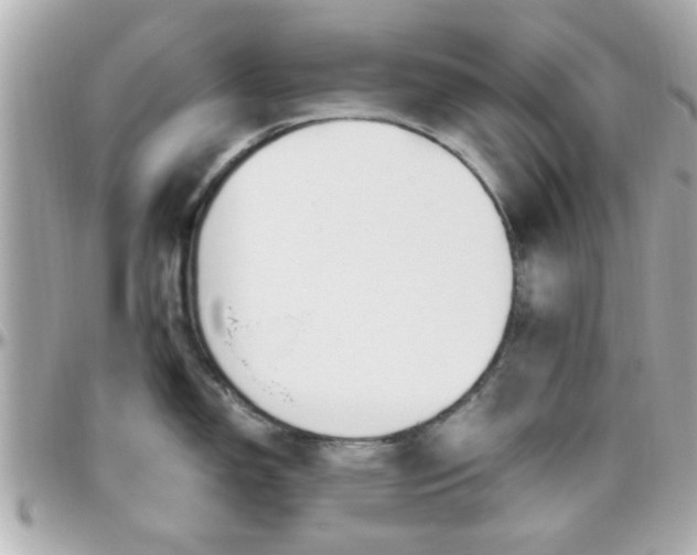 X0000096441150200801241112