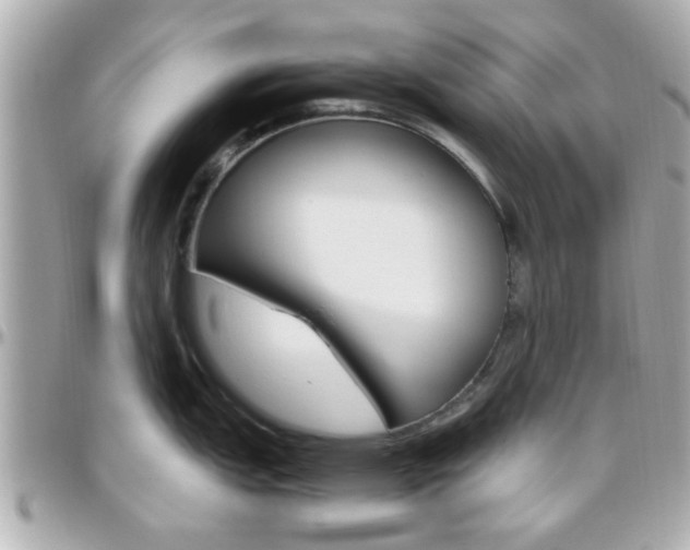 X0000096441151200801241112