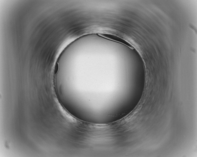 X0000096441152200801241112