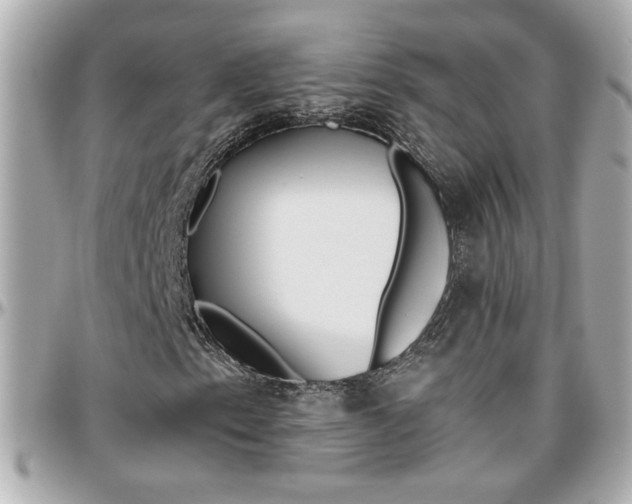 X0000096441153200801241111