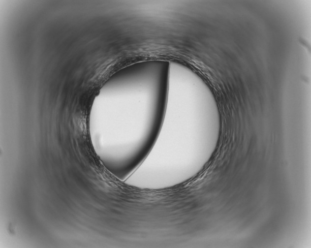 X0000096441155200801241111
