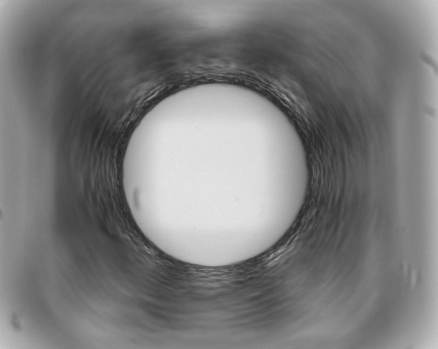 X0000096441156200801241111