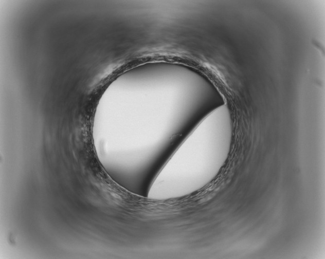X0000096441159200801241111