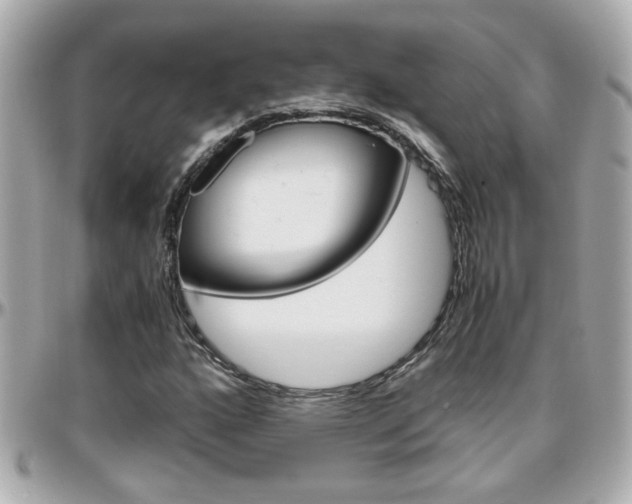 X0000096441160200801241111