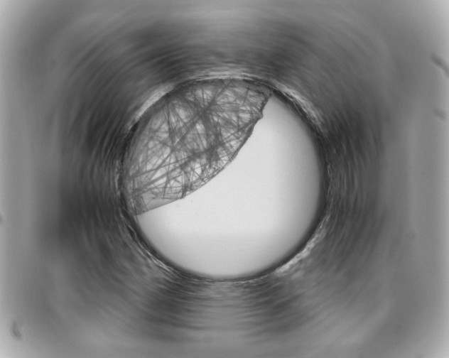 X0000096441162200801241111