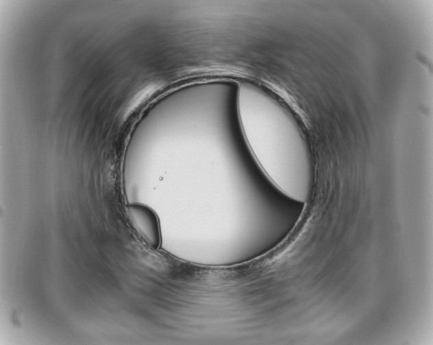 X0000096441163200801241111