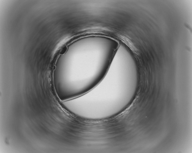X0000096441164200801241111