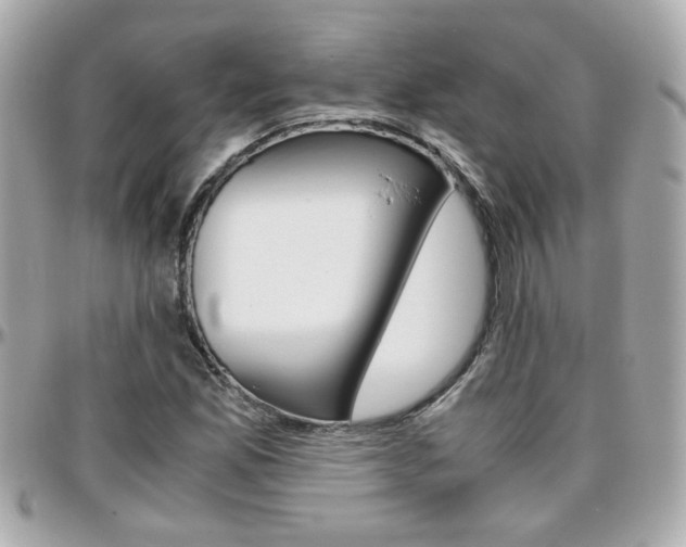X0000096441165200801241111