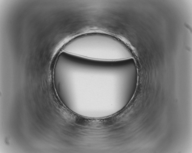 X0000096441167200801241111