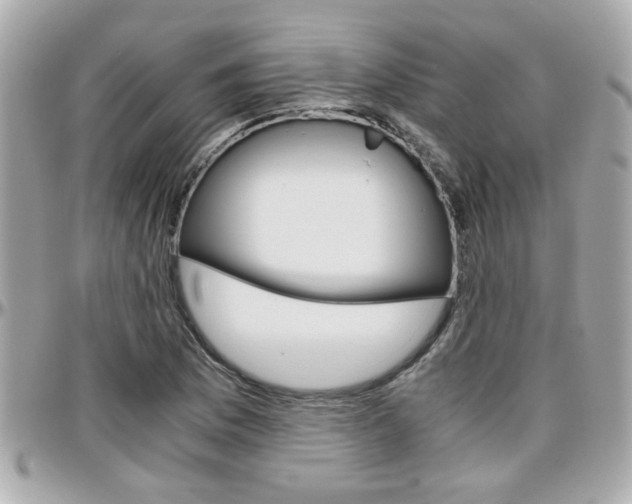 X0000096441169200801241111