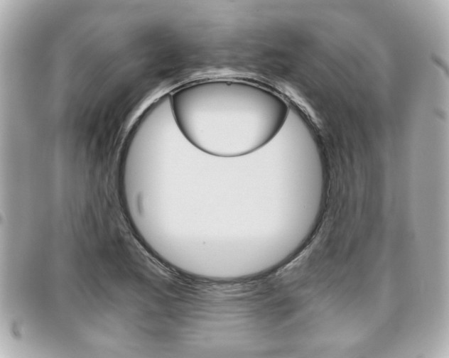 X0000096441173200801241111