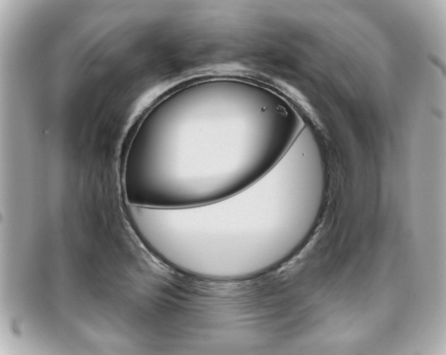 X0000096441176200801241111