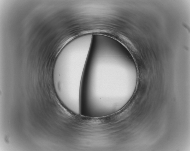 X0000096441177200801241111