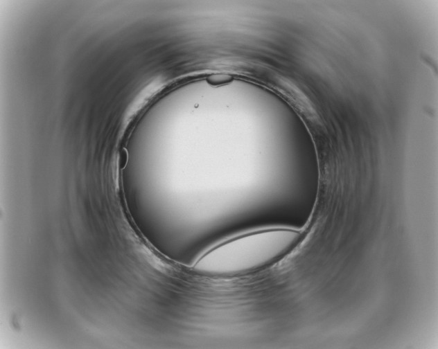 X0000096441180200801241111
