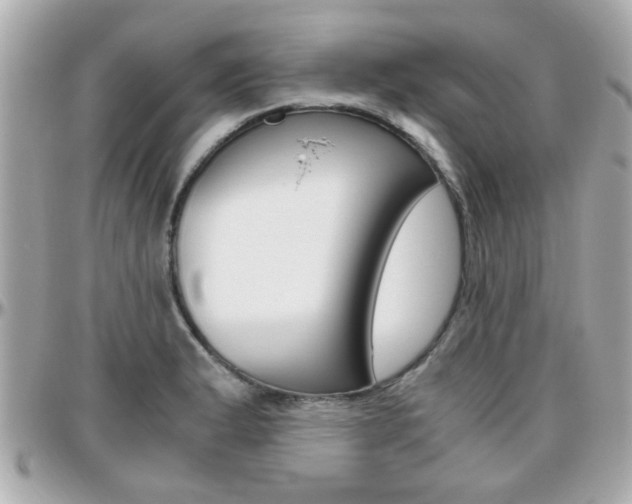 X0000096441183200801241111